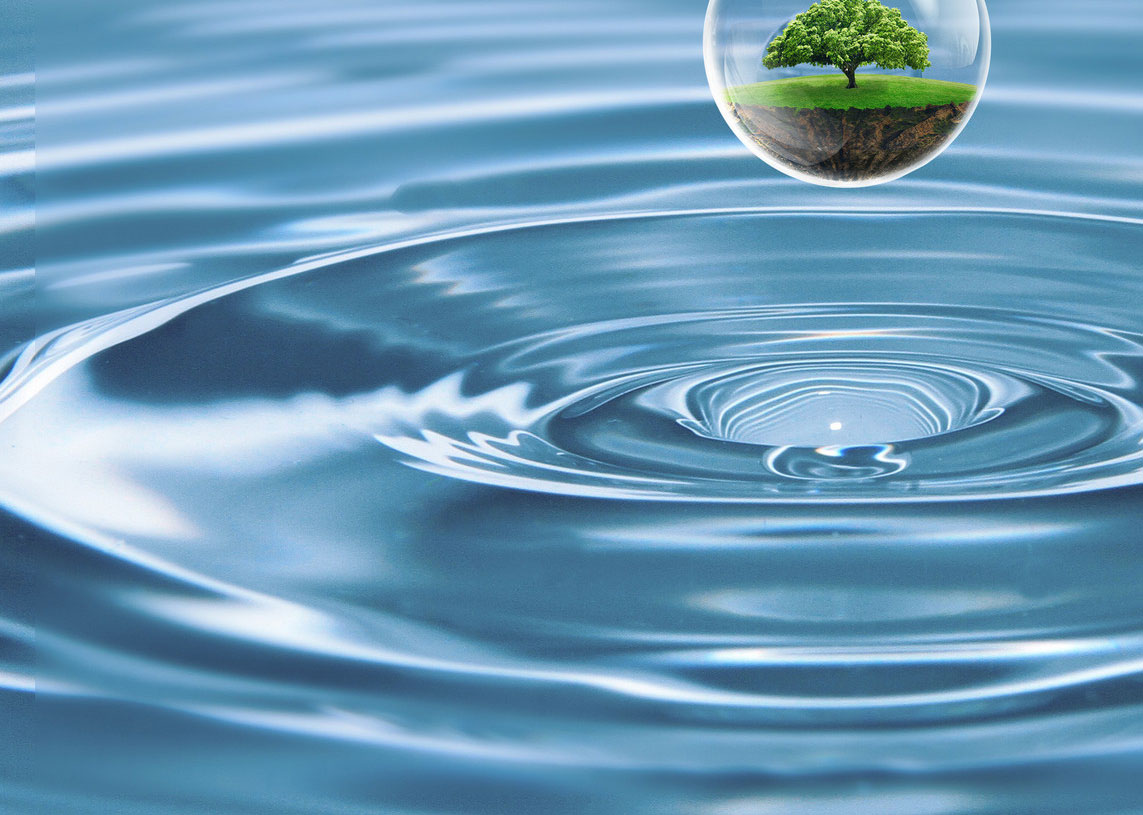 欢迎参观我们的网站